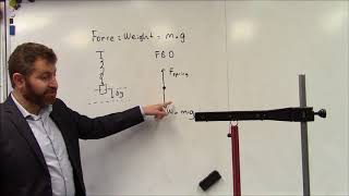 Hookes Law Spring Constant Experiment  STEM for Educators [upl. by Nesyla998]