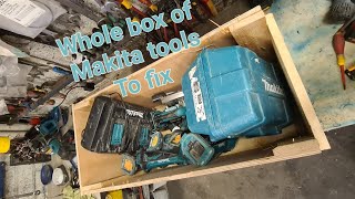 Repairing a whole box of Makita power tools that were sent in for repair [upl. by Switzer368]