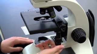 BIOLOGY 10  Basic Microscope Setup and Use [upl. by Ahsenev835]