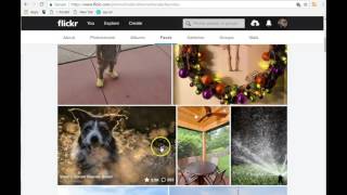 Flickr Tutorial  My Favorite Photo Storing and Sharing Site [upl. by Metzgar]