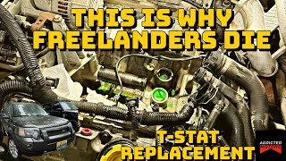 THIS IS WHY KV6 Land Rover Freelanders DIE  Thermostat Replacement From Hell They all fail [upl. by Sorkin]