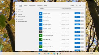 How to Play a DVD on Your Windows 11 Computer [upl. by Aicele]