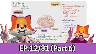 EP1231  ระบบประสาท Part 5  สอวน ชีววิทยา 2025 [upl. by Elbring430]