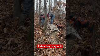 Rainy day drag whitetailbucks hunting deerhunting whitetails huntinggame deer wildlife [upl. by Napier762]