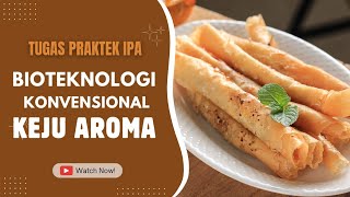 Bioteknologi Konvensional  Keju Aroma [upl. by Elleynod]