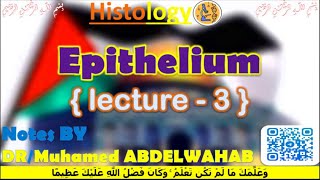 Epithelium  3  Histology  القصر العيني 198 [upl. by Annia]