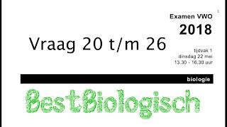 Biologie examen vwo 2018 1e tijdvak vraag 20 tm 26 [upl. by Lidaa892]