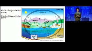 Ocean Sciences Meeting 2020 Award Plenaries [upl. by Stephan]