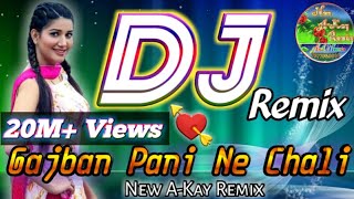 Gajban Pani Ne Chali full Vibrate amp Electro DJ Mix  गजबन पानी ने चालीRemix By Anil Meena Bhorki [upl. by Kipton248]