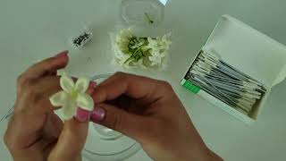 How to add stems to fresh Stephanotis blooms for bouquets [upl. by Ichabod]