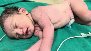 Newborn baby day12newborn mini vlog baby video [upl. by Alegnad256]