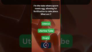 Learn More About the Reproductive System 🤯 BodyFacts 3 [upl. by Kati]