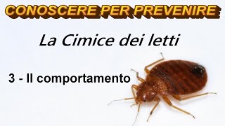 La Cimice dei letti 3  Il comportamento [upl. by Henig118]