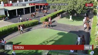 Live Hippodrome « CASABLANCA »  Courses du « 01112024 » [upl. by Ball]