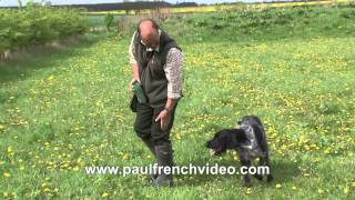 HPR Gundog Tips Part 1  Retrieving across a ditch with Rory Major [upl. by Oakie]