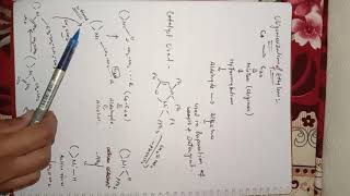 Oligomerization Reaction [upl. by Yojal]