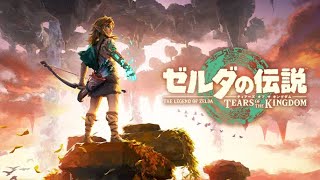 Nintendo POR FIN lanza limpia la mejor canción de Zelda Tears of the Kingdom [upl. by Segalman]