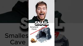 🐌 vs 🐆 – Epic Cave Race Who Wins [upl. by Darcey665]