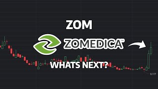 Whats Next  ZOM Stock Price Prediction  ZOM Stock Analysis  Zomedica Stock [upl. by Teplica]