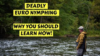 Deadly Euro Nymphing  How amp Why You Should Learn [upl. by Imuya]