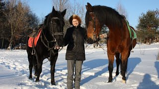 Horse Riding in Kiev  Centaur Equestrian Club [upl. by Jasik307]