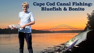 Cape Cod Canal Fishing Bluefish amp Bonito [upl. by Michelsen]