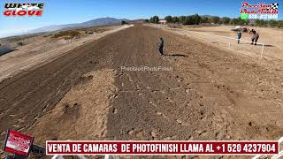 Borracha vs El Flechas [upl. by Salomo]