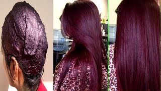 How To Colour Your Hair Naturally At Home  100  Natural Burgundy Colour With Henna  PRIYA MALIK [upl. by Norrag582]