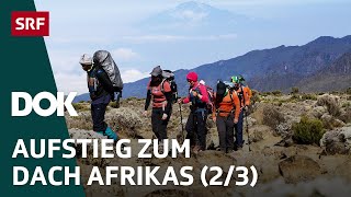 Abenteuer Kilimandscharo – Auf Expedition in Tansania 23  DOK  SRF [upl. by Bounds934]