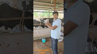 YT PATIL DAIRY FARM [upl. by Sturges]