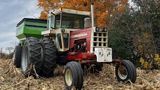 12 Minutes of 310 Turbo Waukesha Sound Cockshutt 1955 on the Buggy [upl. by Lough850]