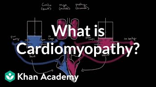 What is cardiomyopathy  Circulatory System and Disease  NCLEXRN  Khan Academy [upl. by Susie450]