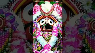 Dayana tulasi basuthaujayjagannath 🙏youtubeshorts [upl. by Durer933]