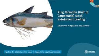 King threadfin Gulf of Carpentaria stock assessment briefing [upl. by Giefer]