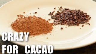 Cacao  Superfood  Healthy Recipes [upl. by Hilbert]