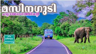 മസിനഗുടി ഒരു മഞ്ഞുകാലത്ത് Masinagudi Elephant Safari By Jithin Hridayaragam [upl. by Darren791]