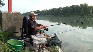 Pêche feeder au gros sur le Rhône [upl. by Gus640]