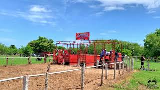 El Diablito C Las Lomas vs El Elegido C Jc Carriles San Esteban [upl. by Enirolf]