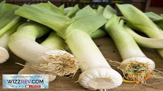 Leek Carentan – Seeds Review [upl. by Tesil]