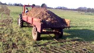 Massey Ferguson 35x shifting muck [upl. by Kramnhoj]