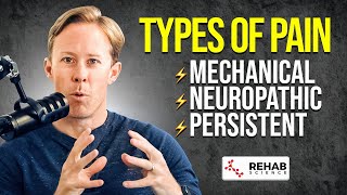 Types of Pain Mechanical Neuropathic Persistent  Ep 4 [upl. by Ymmat32]