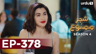 ShajareMamnu  Episode 378  Turkish Drama  Forbidden Fruit  Urdu Dubbing  23 May 2022 [upl. by Sergias]