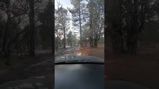 v8 4Runner going through Mud and Snow  Holcomb Valley Big Bear [upl. by Accebar]