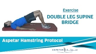 20 Exercises  Double Leg Supine Bridge [upl. by Hartzel544]