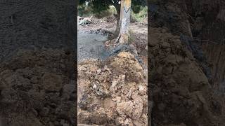 Silt excavationshorts [upl. by Ranilopa]