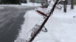 January 20 2019 ice storm in CT [upl. by Ayiotal]