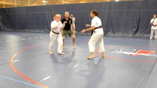 2014 Tomiki Aikido Nationals  Toshu Randori Opening Matches  Tiffany Doan and Jessica Tackett [upl. by Lebisor]