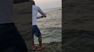 Hooked up sea Eel with fishing rod in goaIndia [upl. by Pero]