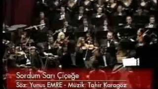 Sordum Sarı Çiçeğe  Orkestra Versiyon [upl. by Shakti133]