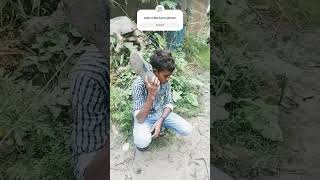 Video Bhalo Lage like comment subscribe karo please bairalshorts funny [upl. by Bjorn96]